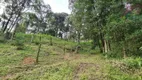 Foto 6 de Fazenda/Sítio com 2 Quartos à venda, 24200m² em Itambe, Campo Largo