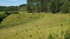 Foto 9 de Lote/Terreno à venda em Lagoinha, Tijucas do Sul