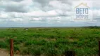 Foto 8 de Fazenda/Sítio à venda, 466230000m² em Zona Rural, Paragominas