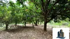 Foto 4 de Lote/Terreno à venda, 2315m² em Parque Dante Marmirolli, Sumaré