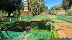 Foto 14 de Fazenda/Sítio com 3 Quartos para venda ou aluguel, 350m² em Nova Veneza, Paulínia