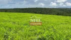 Foto 4 de Fazenda/Sítio à venda, 75m² em Zona Rural, Paraúna