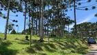 Foto 4 de Lote/Terreno à venda, 2200m² em Lageado, Campo Alegre