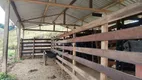 Foto 100 de Fazenda/Sítio com 3 Quartos à venda, 1452000m² em Zona Rural, Natividade da Serra