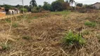 Foto 3 de à venda, 2435m² em Chácaras de Recreio Felicidade Zona Rural, São José do Rio Preto