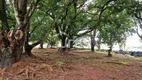 Foto 5 de Fazenda/Sítio com 7 Quartos à venda, 48000m² em Parque dos Girassóis, Goianira