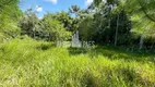 Foto 25 de Fazenda/Sítio com 2 Quartos à venda, 100000m² em Papucaia, Cachoeiras de Macacu