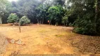 Foto 25 de Fazenda/Sítio com 1 Quarto à venda, 5000m² em Faxina, São José dos Pinhais