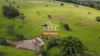 Foto 20 de Fazenda/Sítio à venda em Zona Rural, Hidrolândia