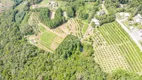 Foto 7 de Fazenda/Sítio à venda, 196800m² em Linha 28, Gramado