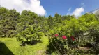 Foto 16 de Fazenda/Sítio com 3 Quartos à venda, 200m² em Zona Rural, Quadra