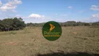 Foto 15 de Fazenda/Sítio com 2 Quartos à venda, 508200m² em Zona Rural, Trindade