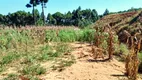 Foto 10 de Fazenda/Sítio com 1 Quarto à venda, 2000m² em Areia Branca dos Assis, Mandirituba