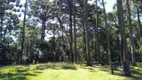 Foto 2 de Lote/Terreno à venda, 750m² em Caracol, Canela