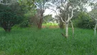 Foto 12 de Fazenda/Sítio à venda, 350m² em Zona Rural, Patrocínio Paulista