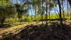 Foto 13 de Fazenda/Sítio com 1 Quarto à venda, 22000m² em Linha Imperial, Nova Petrópolis