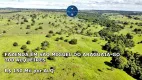 Foto 9 de Fazenda/Sítio à venda em Zona Rural, São Miguel do Araguaia