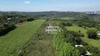 Foto 5 de Lote/Terreno à venda, 80000m² em , Ivoti