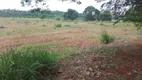 Foto 15 de Fazenda/Sítio à venda em Centro, Cesário Lange