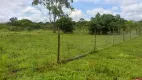 Foto 14 de Fazenda/Sítio à venda, 60000m² em Ponte Alta Norte, Brasília