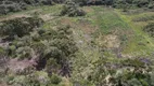 Foto 10 de Fazenda/Sítio à venda, 53000m² em Zona Rural, Urupema