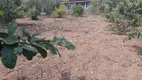 Foto 6 de Fazenda/Sítio com 3 Quartos à venda em Zona Rural, Morungaba