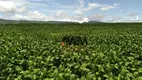 Foto 2 de Fazenda/Sítio à venda, 18972800m² em Centro, Niquelândia