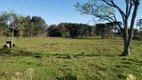 Foto 7 de Lote/Terreno à venda, 20000m² em Zona Rural, 