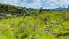 Foto 25 de Fazenda/Sítio à venda, 440000m² em Santa Izabel, São Joaquim