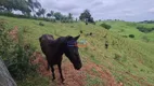 Foto 30 de Fazenda/Sítio com 3 Quartos à venda, 18000m² em Amaral, Nova Serrana
