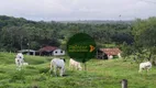 Foto 21 de Fazenda/Sítio com 6 Quartos à venda, 2521100m² em Zona Rural, Goiás