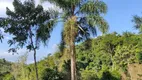 Foto 17 de Fazenda/Sítio à venda, 5000m² em Santa Rita do Zarur, Volta Redonda