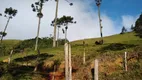 Foto 46 de Fazenda/Sítio com 2 Quartos à venda, 532400m² em Zona Rural, Natividade da Serra