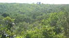 Foto 9 de Fazenda/Sítio com 4 Quartos à venda, 470m² em Area Rural do Gama, Brasília