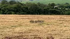 Foto 34 de Fazenda/Sítio à venda, 20000m² em Bom Retiro, Porto Feliz