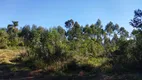 Foto 10 de Fazenda/Sítio à venda, 20000m² em Itaqui de Cima, Campo Largo