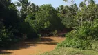 Foto 14 de Fazenda/Sítio com 3 Quartos à venda, 130000000m² em Sitio Arena, São José de Mipibu