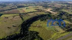 Foto 17 de Fazenda/Sítio com 2 Quartos à venda, 1258000m² em Centro, Cesário Lange