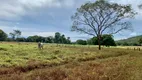 Foto 17 de Fazenda/Sítio com 3 Quartos à venda, 55500m² em Zona Rural, Felixlândia