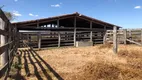 Foto 8 de Fazenda/Sítio à venda, 108000000m² em Setor Fumal, Luziânia