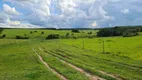 Foto 38 de Fazenda/Sítio com 4 Quartos à venda, 1597200m² em , Presidente Alves