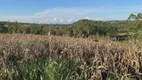 Foto 2 de Fazenda/Sítio com 2 Quartos à venda, 60m² em Zona Rural, Taquara