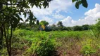 Foto 27 de Fazenda/Sítio com 1 Quarto à venda, 10000m² em Zona Rural, Marialva