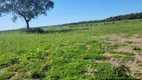 Foto 2 de Lote/Terreno à venda, 206m² em Zona Rural, Lagoa da Confusão