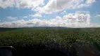 Foto 7 de Fazenda/Sítio à venda, 50500000m² em Zona Rural, Uberlândia
