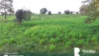 Foto 5 de Fazenda/Sítio à venda, 726m² em Zona Rural, Lagoa da Confusão