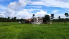 Foto 11 de Fazenda/Sítio com 3 Quartos à venda, 290400m² em , Itapuã do Oeste