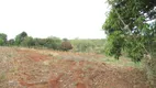 Foto 35 de Lote/Terreno para alugar, 24200m² em Vila Nova, Piracicaba