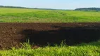 Foto 17 de Fazenda/Sítio com 3 Quartos à venda, 1675m² em Centro, Guia Lopes da Laguna