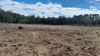 Foto 9 de Fazenda/Sítio à venda, 196000m² em Centro, Campo do Tenente